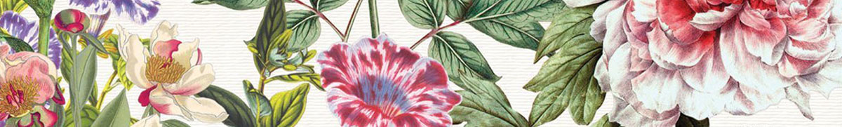 Michel Design Works floral strip brands page banner